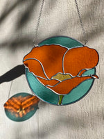 California Poppy