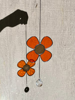 Mini Daisy Dazzler - Orange