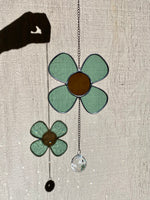 Mini Daisy Dazzler - Sea Foam