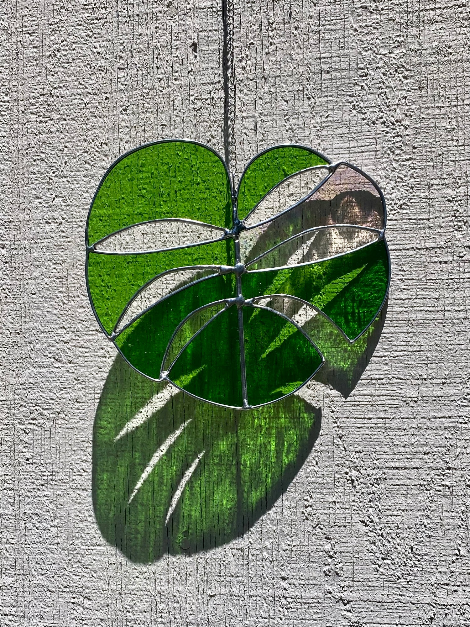 Mega Monstera - Grass