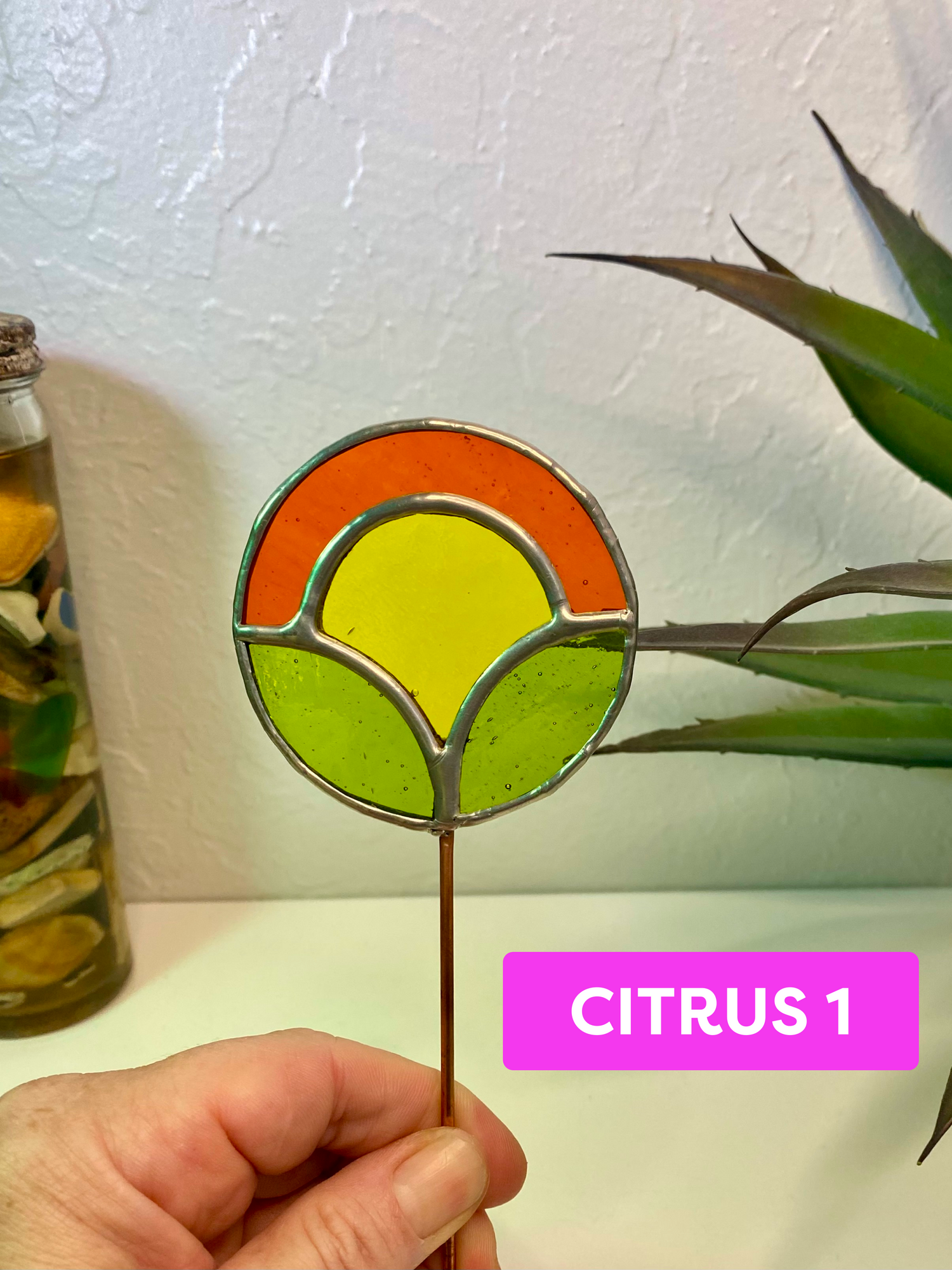 Mini Sunrise Bloom - Citrus