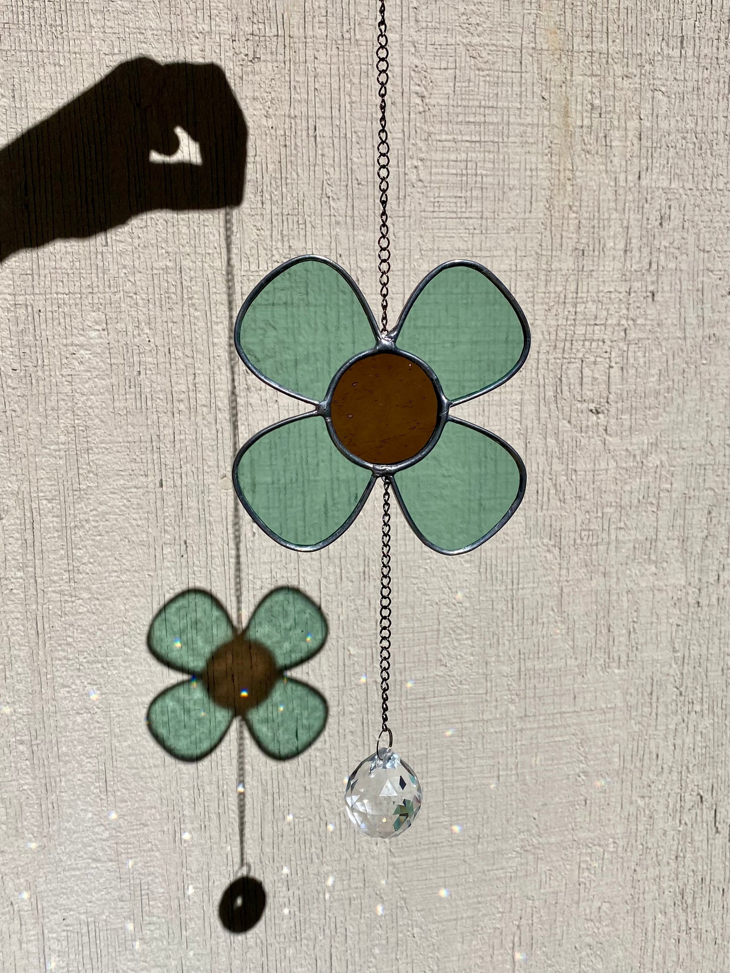 Mini Daisy Dazzler - Sea Foam
